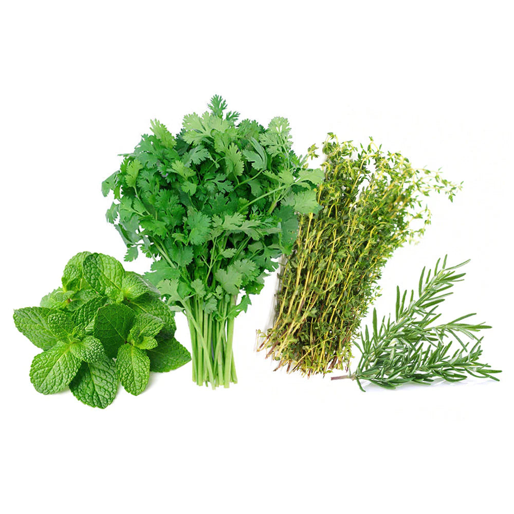 Fresh Herbs